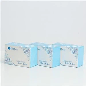 Free Samples Ce FDA Faster Delivery Pet PE Bag Packed Spunlace Cleaning 75% Alcohol Wet Wipes