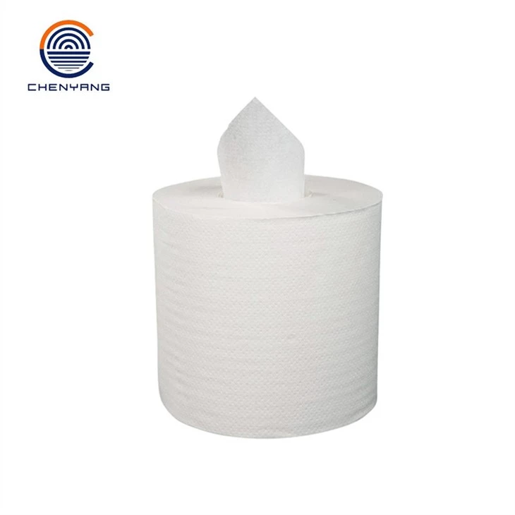 China Spunlace Nonwoven factory